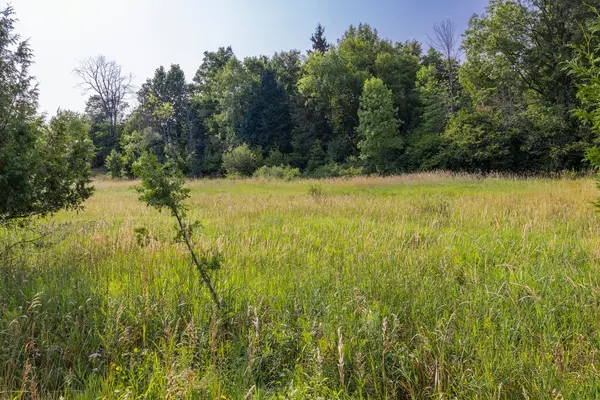 Tay Valley, ON K0G 1A0,752 Bennett Lake RD