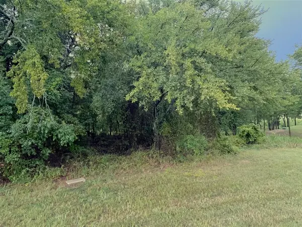 Gordonville, TX 76245,Lot 13C Coyote Creek Drive