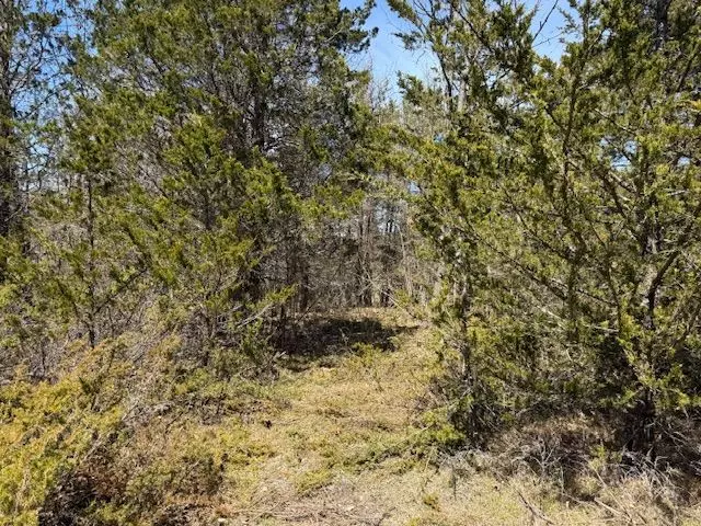 Loyalist, ON K0H 2H0,590 LOVE RD