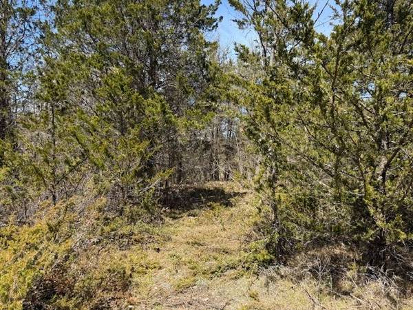 590 LOVE RD, Loyalist, ON K0H 2H0