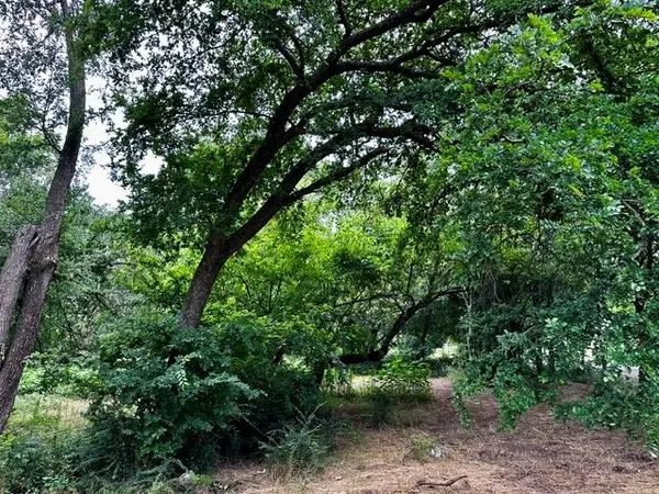 Greenville, TX 75401,4308 Cornelia Street