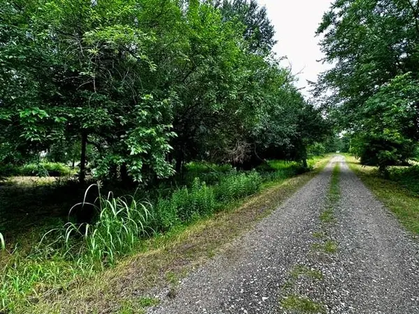 Greenville, TX 75401,4308 Cornelia Street