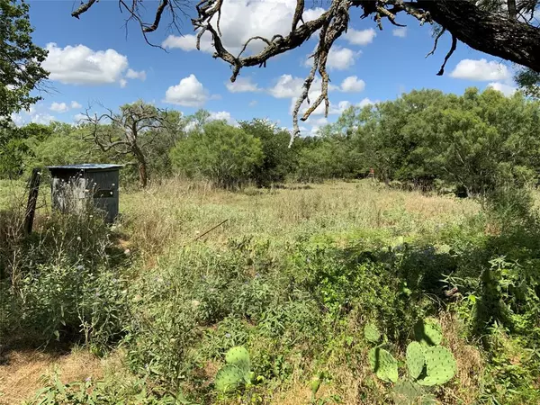 Blanket, TX 76432,10051 County Road 321