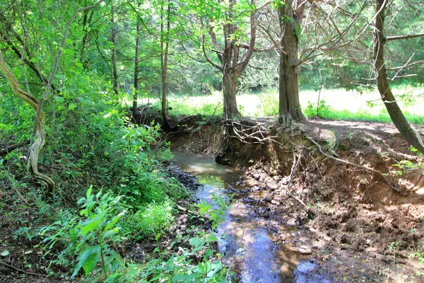 Concord, VA 24538,0 Story RD