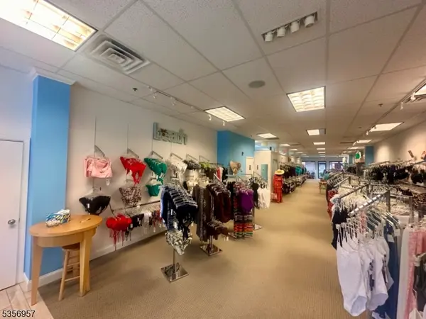 Livingston Twp., NJ 07039,20 E Mount Pleasant Ave