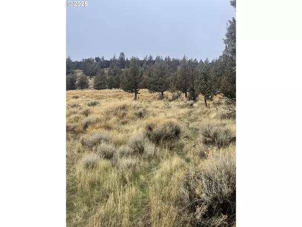 Terrebonne, OR 97760,70445 NW LOWER VALLEY DR