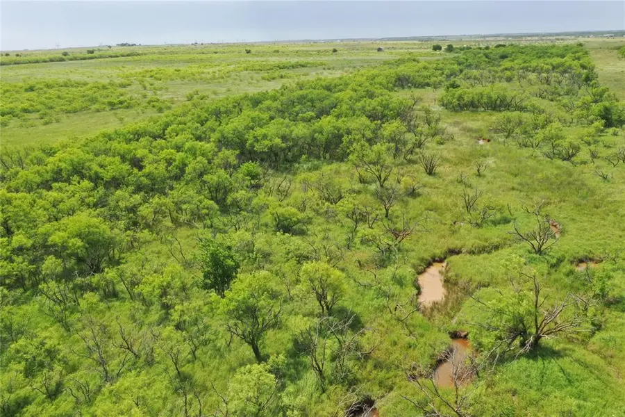 TBD Davis Ln-TRACT 9, Bellevue, TX 76228