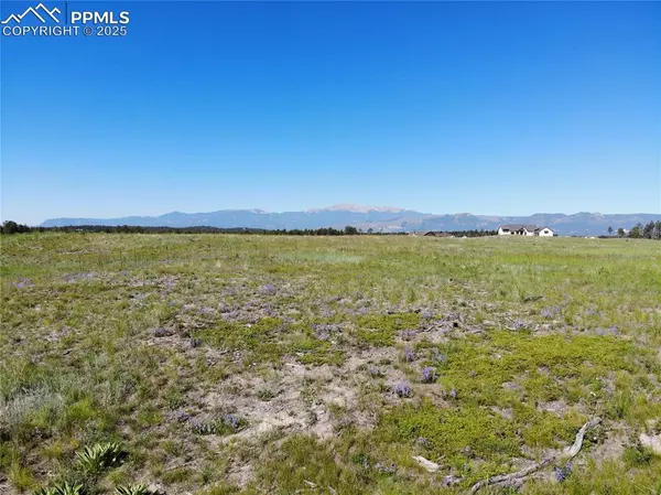 Colorado Springs, CO 80908,12632 Eagle Forest DR