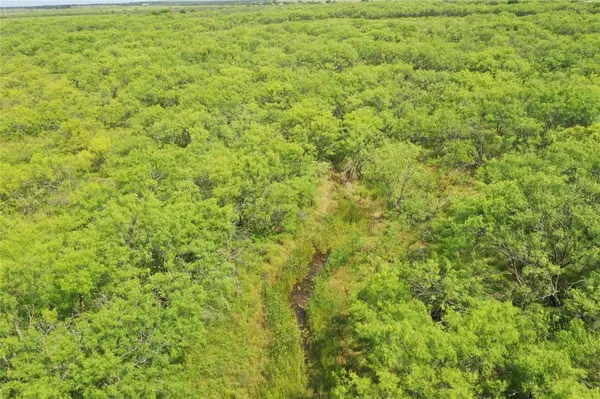 Bellevue, TX 76228,TBD McDonald Rd-TRACT 7