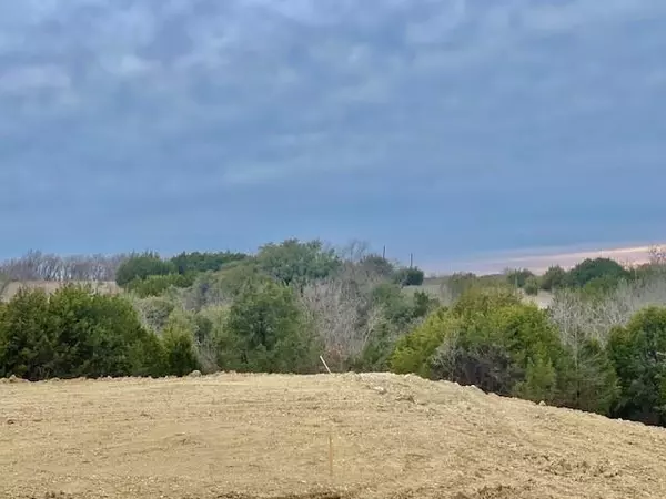 3032 Wyatts Way, Weatherford, TX 76087