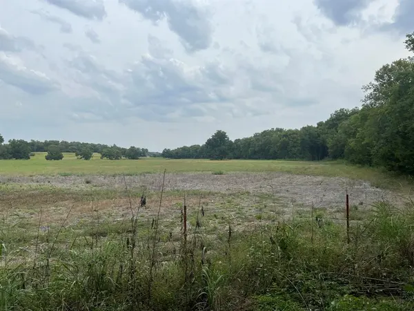 Leonard, TX 75452,777 County Road 4715