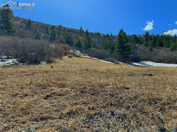 Colorado Springs, CO 80921,4405 Diamondback DR