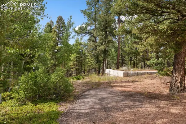 Divide, CO 80814,4261 County Road 51