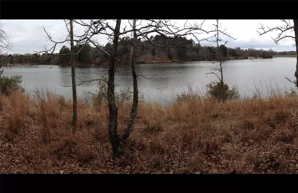 Larue, TX 75770,9122 Safari Bluff