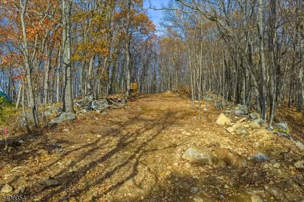 Rockaway Twp., NJ 07866,183 Valley View Dr