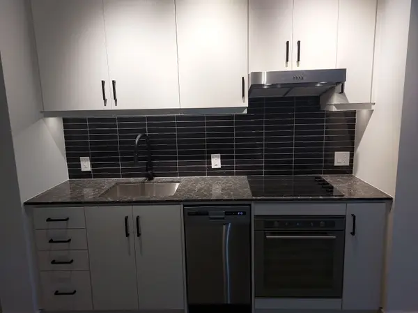 Toronto C01, ON M5V 3G4,9 Tecumseth ST #523