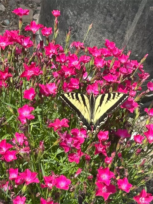 Pender Island, BC V0N 2M0,2703 Brigadoon Cres