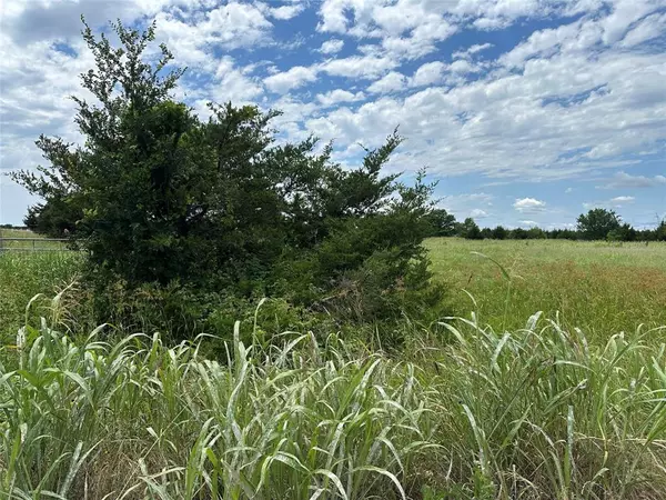 Farmersville, TX 75442,Lot 8 Lemonade Ln.