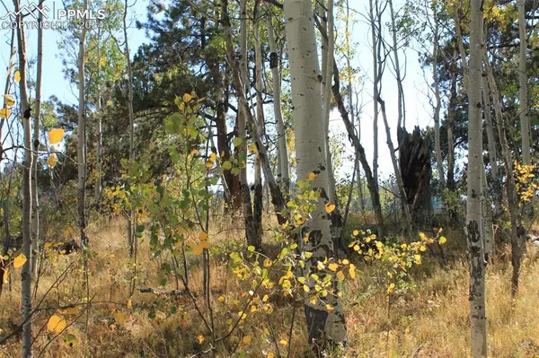 Florissant, CO 80816,54 Elkhorn LN