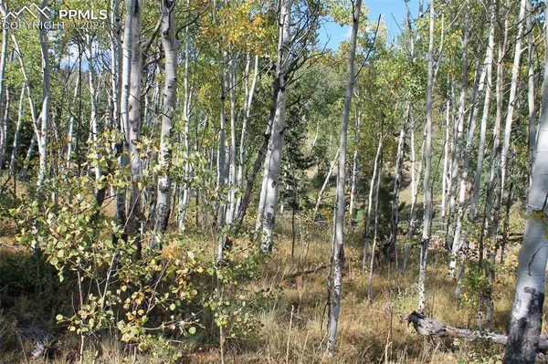 Florissant, CO 80816,54 Elkhorn LN