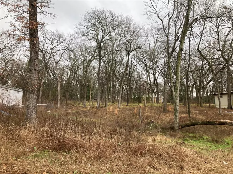 TBD Flud Road, Kemp, TX 75143