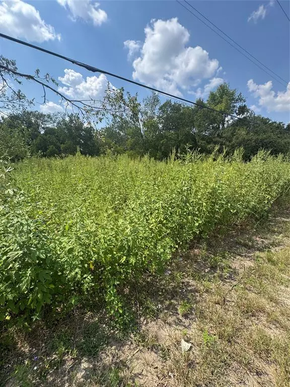 Mart, TX 76664,303 N Waco St