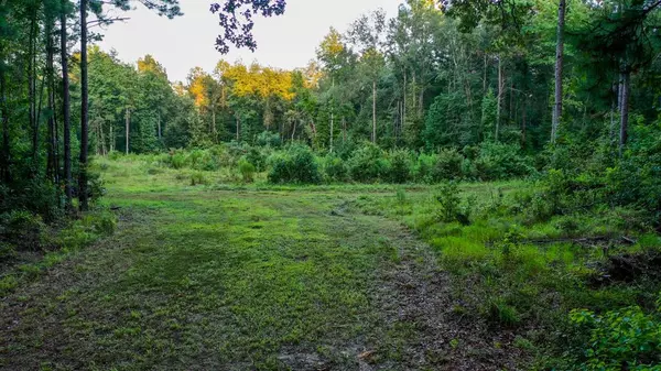 Jefferson, TX 75657,0 TBD Hwy 49