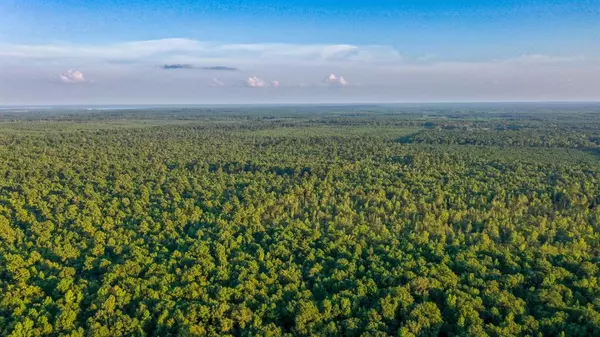 Jefferson, TX 75657,0 TBD Hwy 49