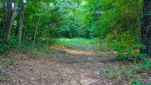 Jefferson, TX 75657,0 TBD Hwy 49