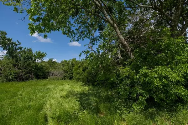 Terrell, TX 75160,108 Williams Street