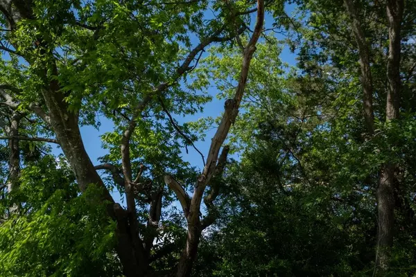 Terrell, TX 75160,108 Williams Street