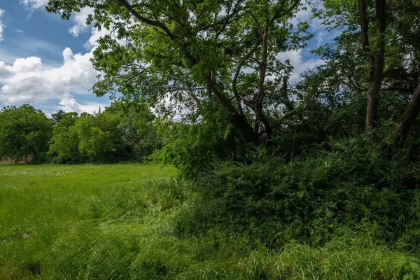 Terrell, TX 75160,108 Williams Street