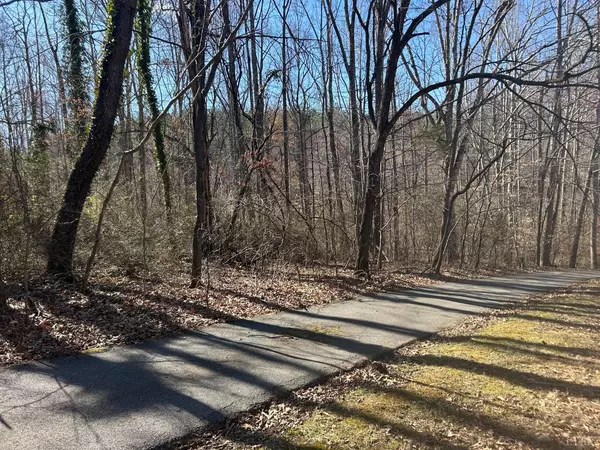 0 McIvor Lane, Monroe, VA 24574