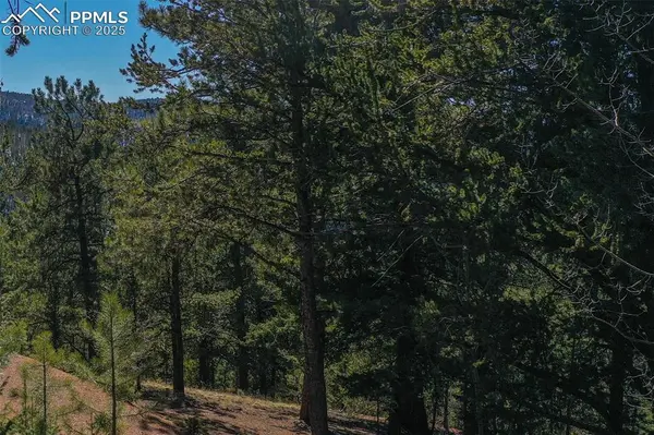 Divide, CO 80814,507 HORSESHOE DR