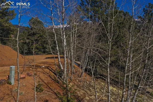 Divide, CO 80814,507 HORSESHOE DR