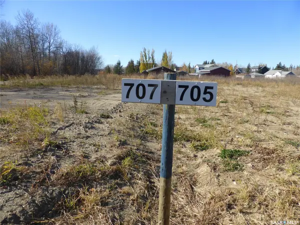 Mervin Rm No.499, SK S0M 0H0,707 Willow BAY