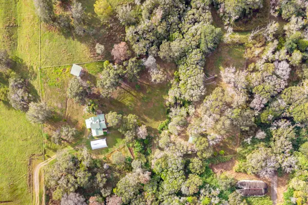 43-752 ANTONE DE LUZ RD, Paauilo, HI 96776