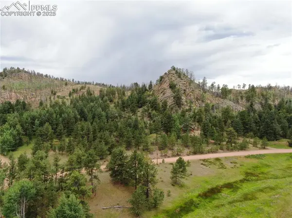 Florissant, CO 80816,76 Crocus CIR