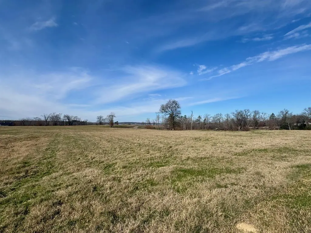 Pittsburg, TX 75686,Lot 52 Southshore Drive