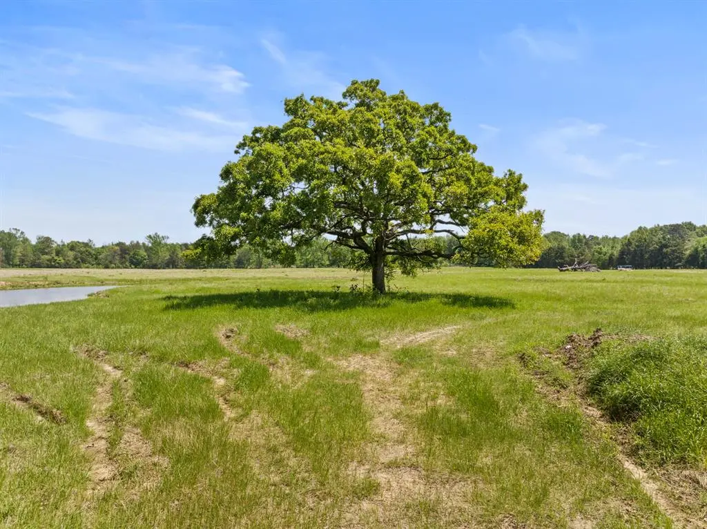 Lot A County Road 3324, Pittsburg, TX 75686