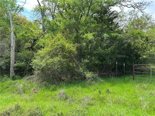 Thornton, TX 76687,00 Hickory Loop Road