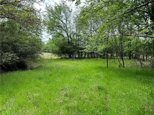 Thornton, TX 76687,00 Hickory Loop Road