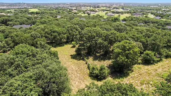 Burleson, TX 76028,541 Bonnards Peak Road