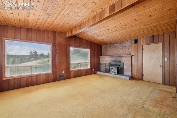 Woodland Park, CO 80863,150 Apache TRL