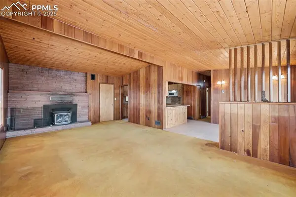 Woodland Park, CO 80863,150 Apache TRL