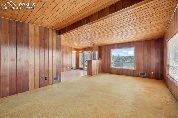 Woodland Park, CO 80863,150 Apache TRL