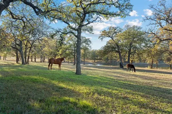 Poolville, TX 76487,12664 Highway 199 W