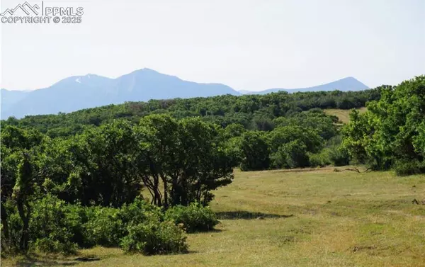 Paonia, CO 81428,18965 Johnson RD