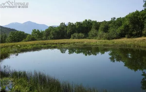 Paonia, CO 81428,18965 Johnson RD