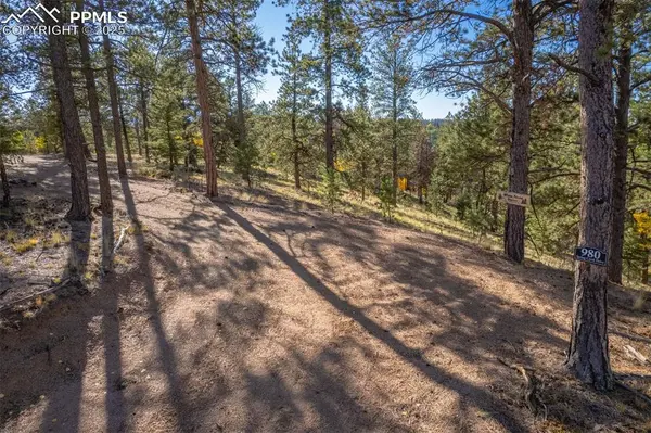 980 Spring Creek DR, Divide, CO 80814